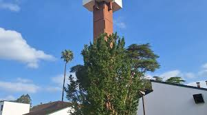 mercymutai.gnomio.com